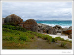 _MG_0060 e
