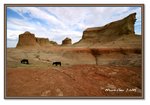 Frame_IMG_7026 eweb