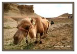 Frame_IMG_7047 eweb