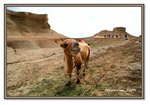 Frame_IMG_7048 eweb