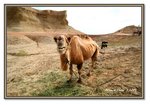 Frame_IMG_7049 eweb