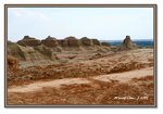 Frame_IMG_7054 eweb