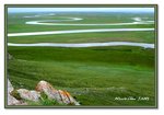 Frame_IMG_7533 eweb