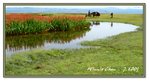 Frame_IMG_7387 eweb