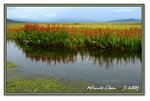 Frame_IMG_7389 eweb