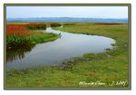 Frame_IMG_7390 eweb