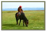 Frame_IMG_7395 eweb