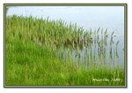 Frame_IMG_7409 eweb