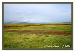 Frame_IMG_7410 eweb