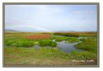 Frame_IMG_7417 eweb