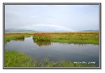 Frame_IMG_7419 eweb
