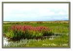 Frame_IMG_7433 eweb