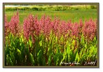 Frame_IMG_7436 eweb