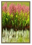 Frame_IMG_7439 eweb