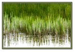 Frame_IMG_7441 eweb
