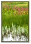 Frame_IMG_7443 eweb