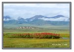 Frame_IMG_7445 eweb