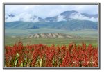 Frame_IMG_7455 eweb