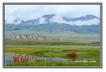 Frame_IMG_7458 eweb