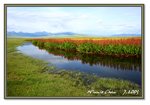 Frame_IMG_7459 eweb