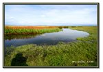 Frame_IMG_7460 eweb
