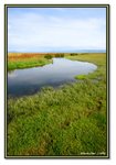 Frame_IMG_7461 eweb