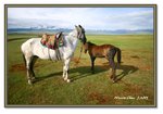 Frame_IMG_7466 eweb