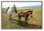 Frame_IMG_7467 eweb