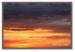 Frame_IMG_7662web