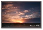 Frame_IMG_7688 eweb