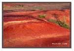 Frame_IMG_7720web