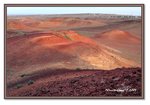 Frame_IMG_7721web
