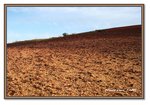 Frame_IMG_7737web