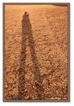 Frame_IMG_7739web