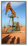 Frame_IMG_7752 eweb