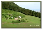 Frame_IMG_7830 eweb