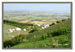 Frame_IMG_7831 eweb