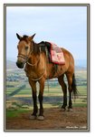 Frame_IMG_7836 eweb