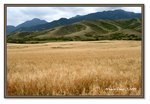 Frame_IMG_7860 eweb