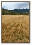 Frame_IMG_7861 eweb