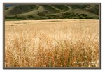 Frame_IMG_7864 eweb