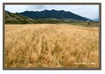 Frame_IMG_7868 eweb