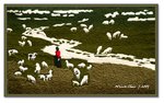 Frame_IMG_7821 eweb