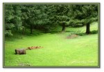 Frame_IMG_7616 eweb