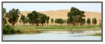 Frame_IMG_7564 eweb