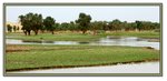Frame_IMG_7574 eweb