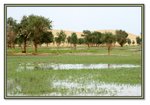 Frame_IMG_7575 eweb