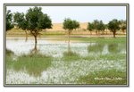 Frame_IMG_7576 eweb