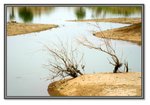 Frame_IMG_7578 eweb