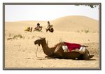 Frame_IMG_7584 eweb